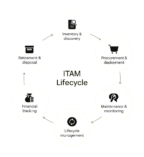 itam lifecycle optimized removebg preview
